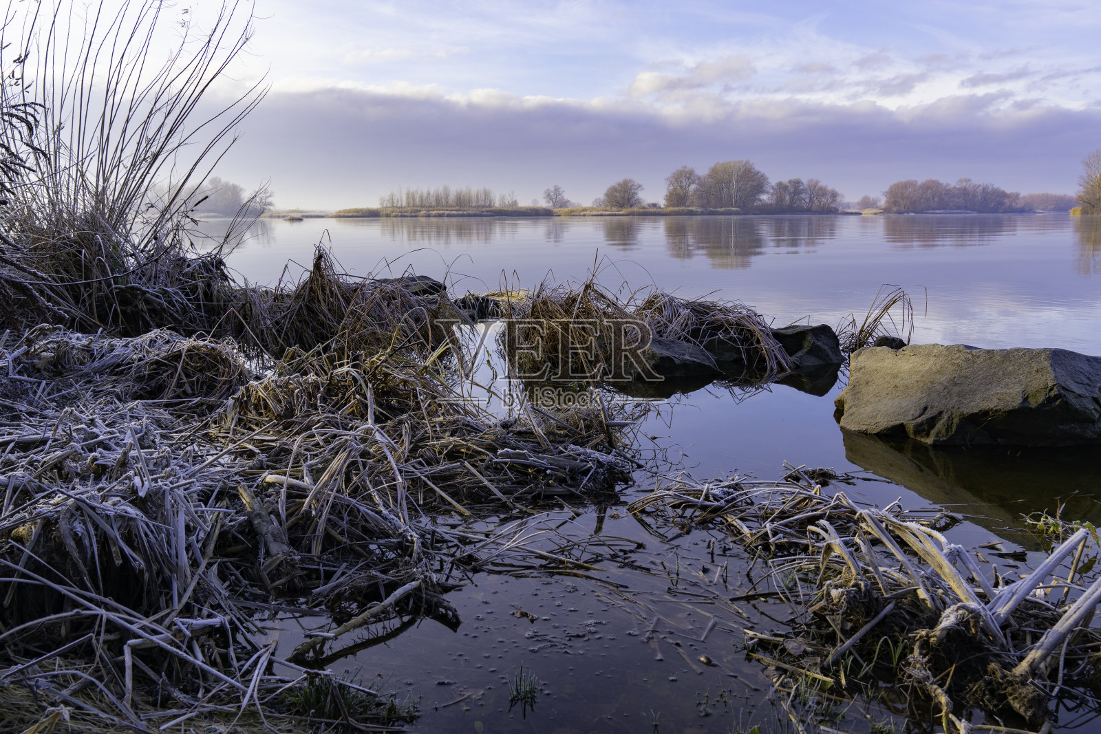 霜照片摄影图片