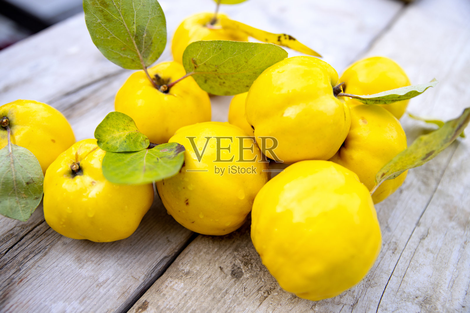 新鲜榅桲果堆照片摄影图片