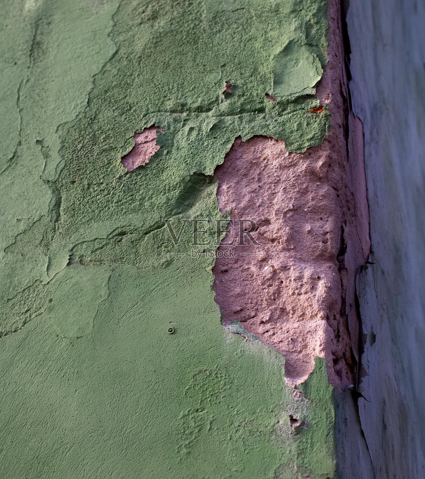 旧的绿色油漆肮脏划破破旧的灰泥墙照片摄影图片