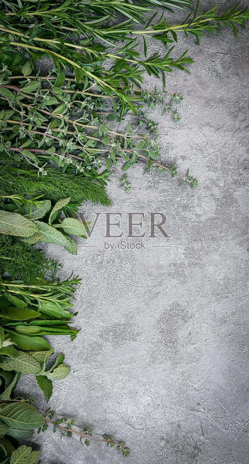 深色石头背景上的新鲜香草，有文字空间照片摄影图片