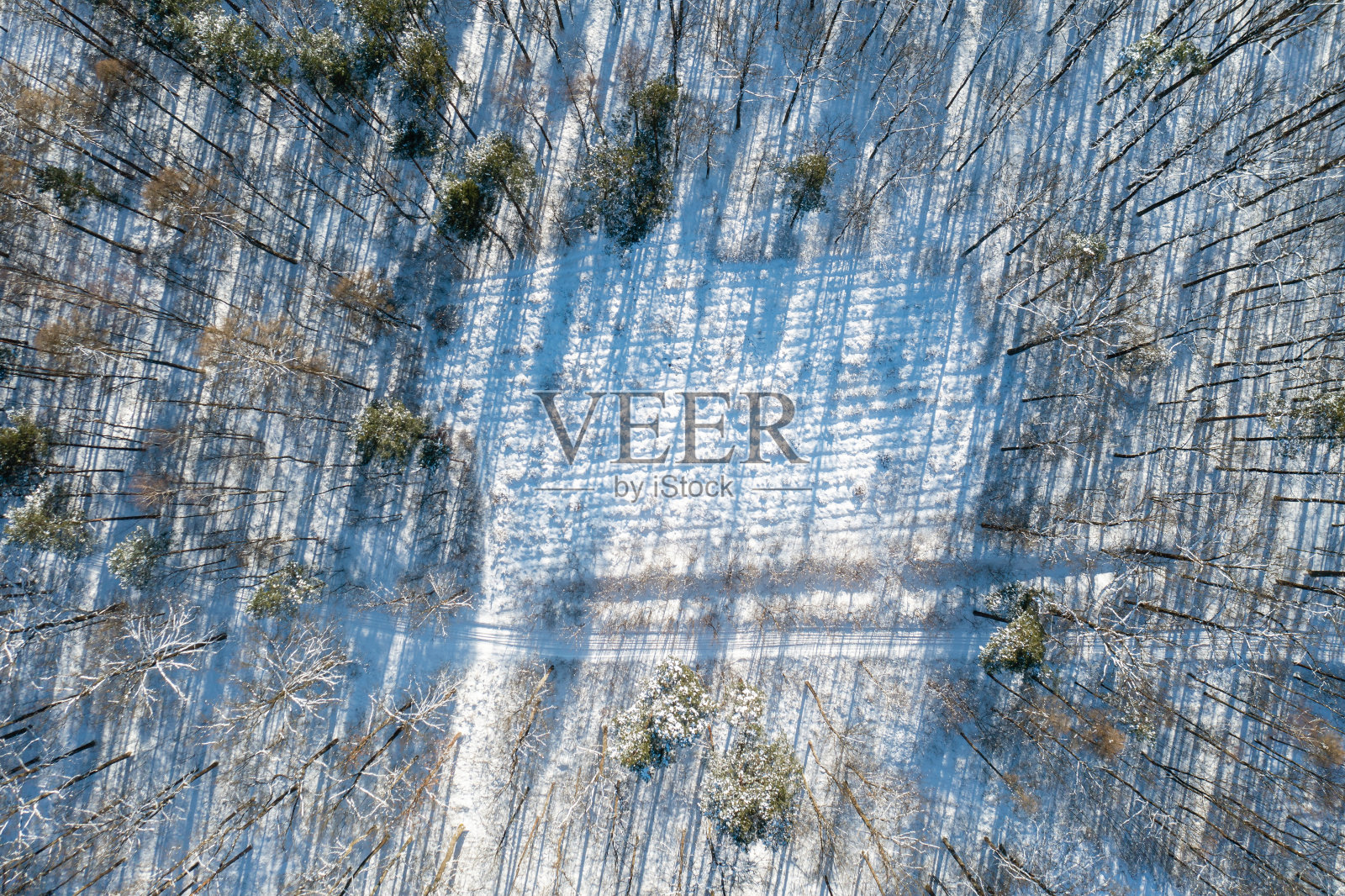 空中俯瞰冬季森林景观照片摄影图片