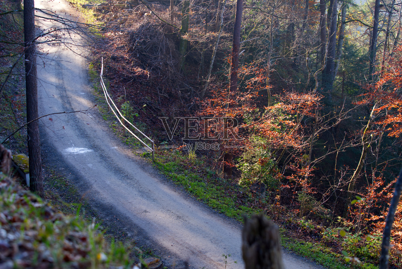 在一个阳光明媚的秋日，乡村小路和森林的景色尽收眼底。照片摄影图片