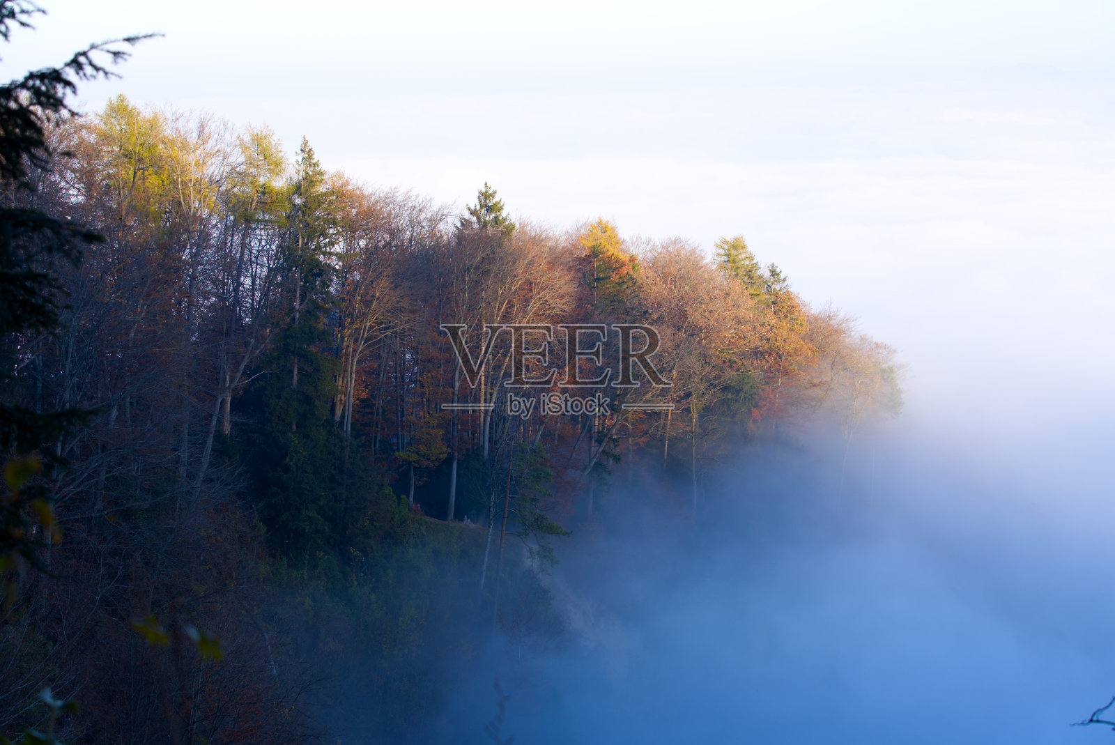 一个阳光明媚的秋日，在广州Zürich从当地的Uetliberg山上看到的风景与树木和雾海。照片摄影图片