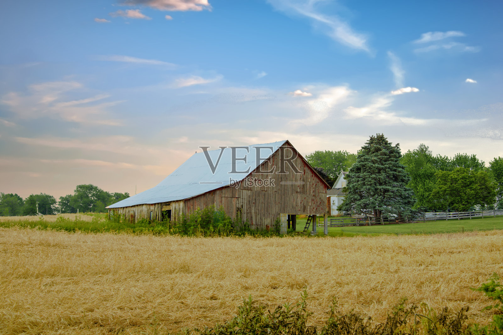 印第安纳州霍华德县，清晨的老风化谷仓照片摄影图片