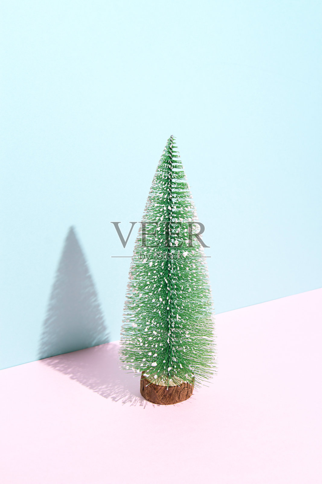 极简主义圣诞和新年的艺术构成。粉红色和蓝色粉彩背景上的微型云杉。副本的空间。照片摄影图片