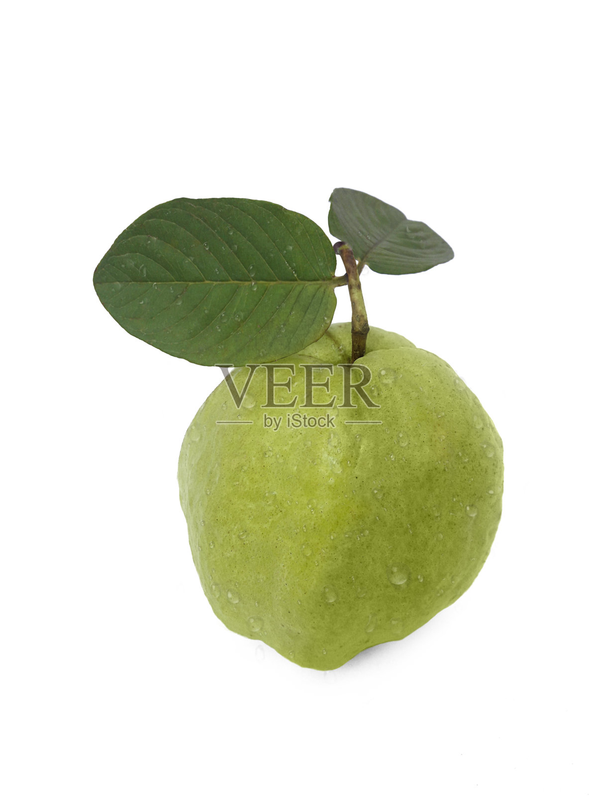 在白色背景上分离的番石榴果照片摄影图片