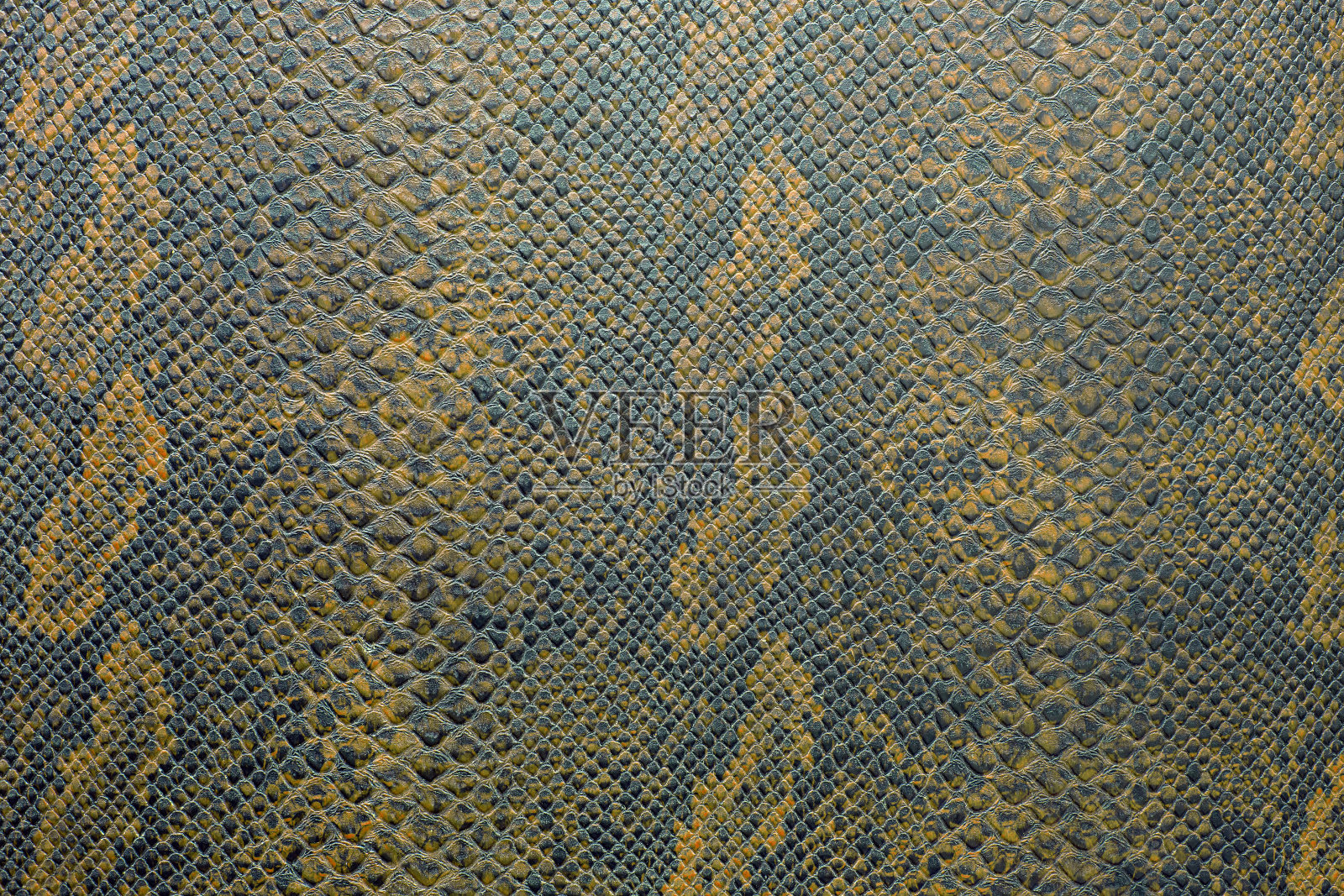 蛇皮的背景纹理在鲜明的颜色照片摄影图片