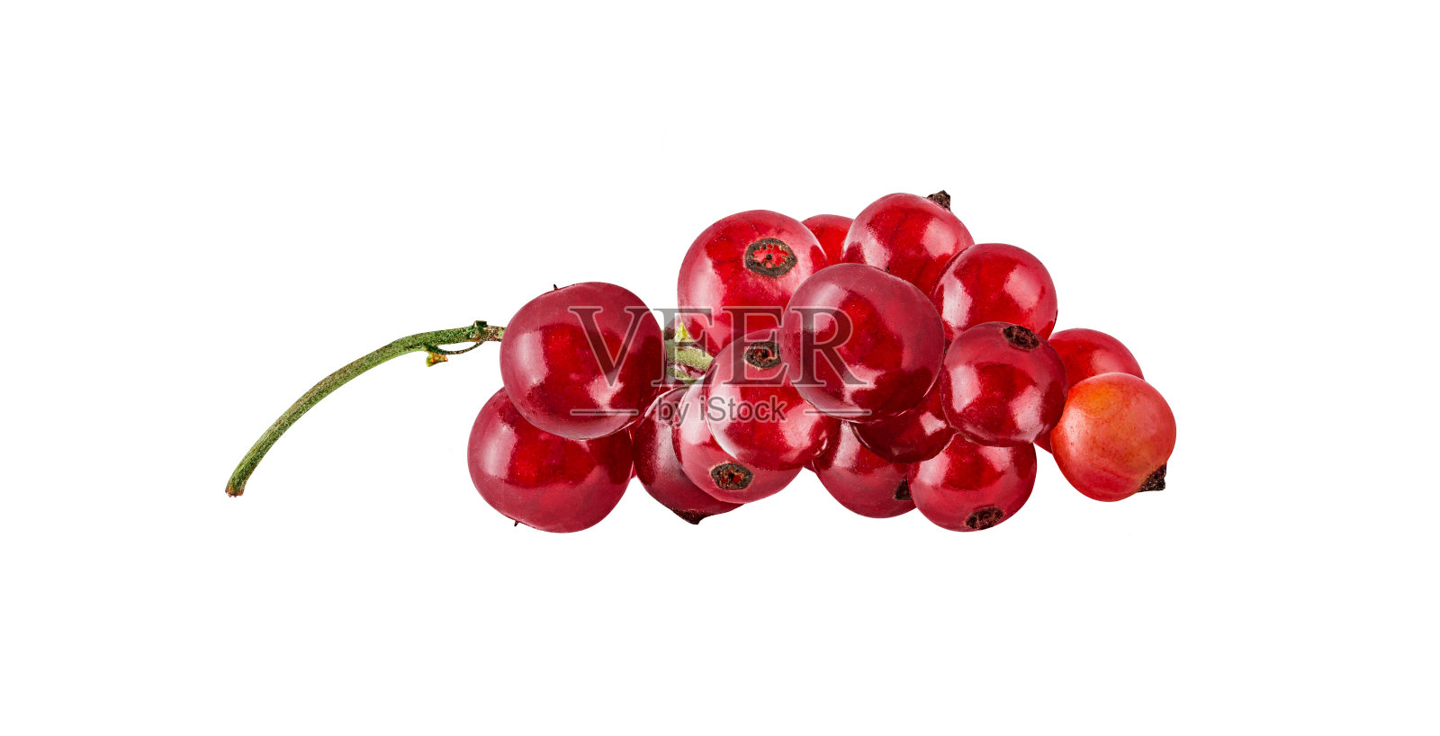 红醋栗孤立在白色背景与修剪路径照片摄影图片