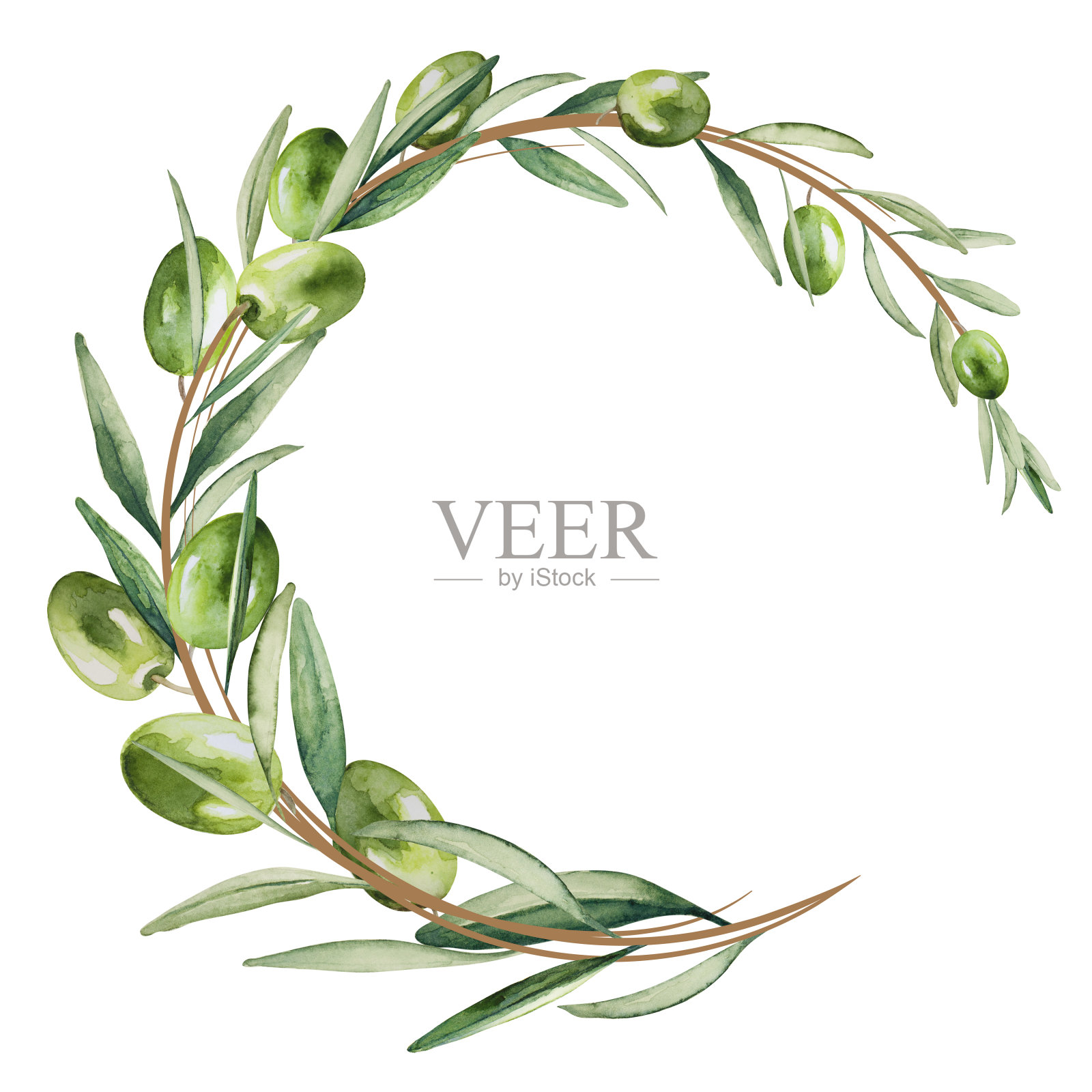 绿色的橄榄枝编成的花环。孤立在白色背景上。手画水彩。副本的空间。插画图片素材