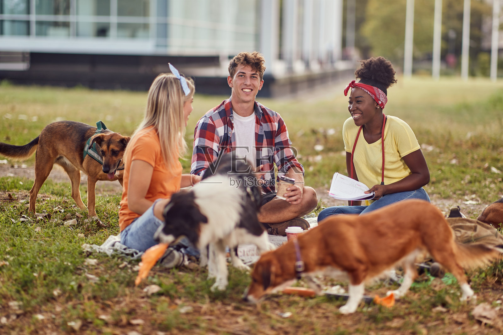 一群学生和他们的狗坐在公园的草地上摆姿势拍照。友谊，休息，宠物，野餐照片摄影图片