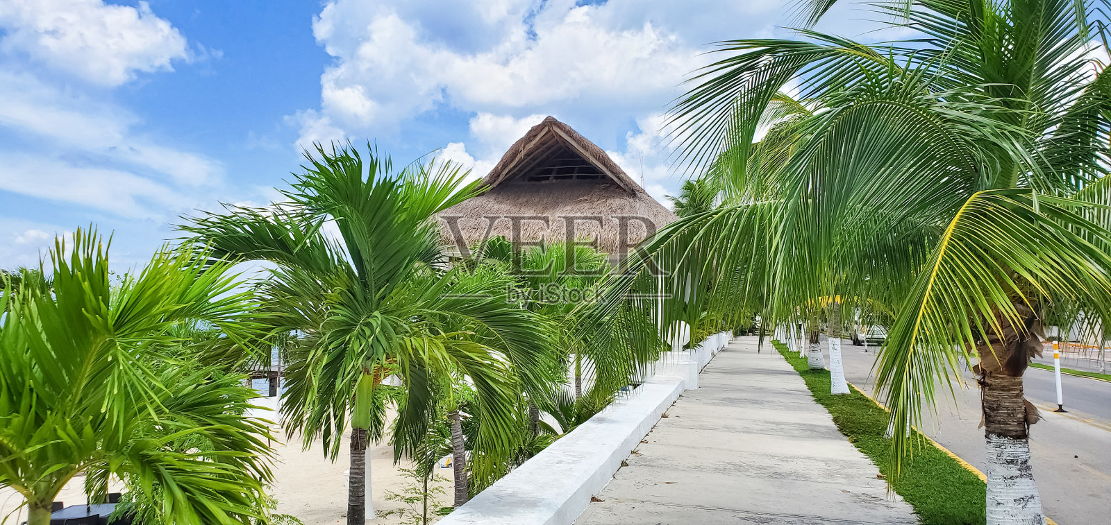 科苏梅尔岛的闹市区街道。墨西哥照片摄影图片