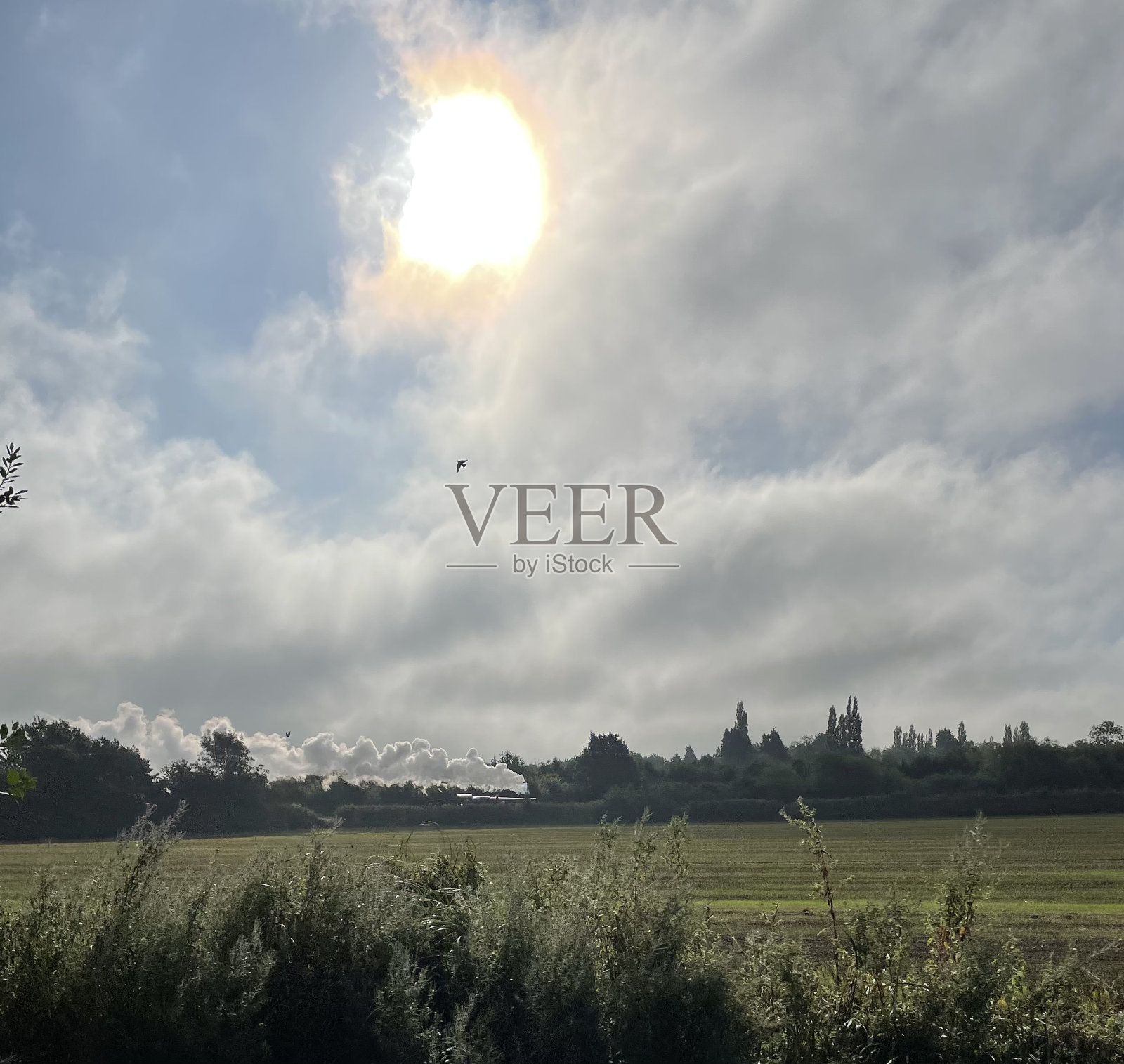 蒸汽火车景观照片摄影图片