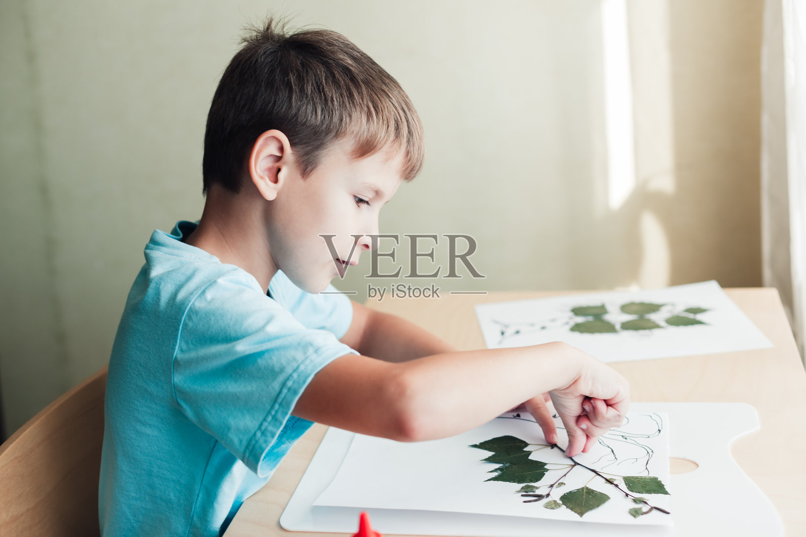 可爱的孩子坐在书桌前，用干桦树叶子画画照片摄影图片