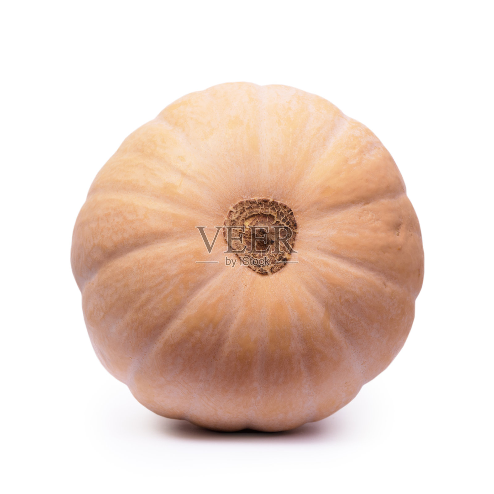 长成熟的南瓜照片摄影图片