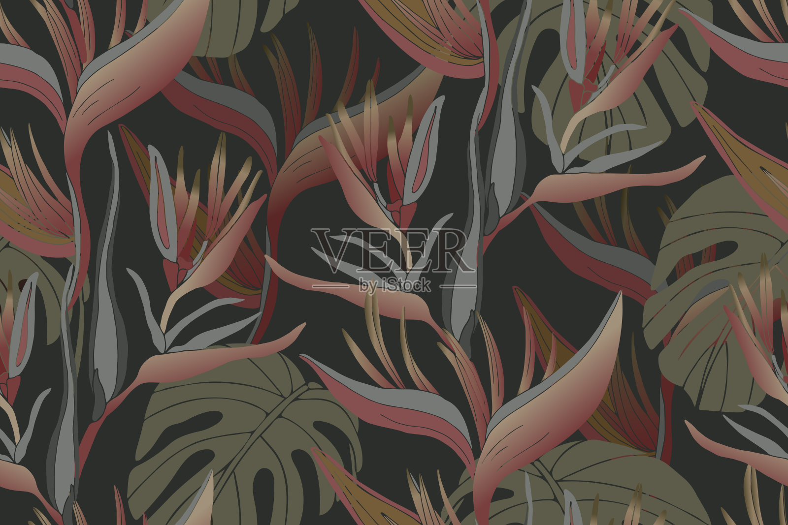 矢量热带植物无缝图案。Monstera和heliconia被隔离在黑暗的背景上。插画图片素材