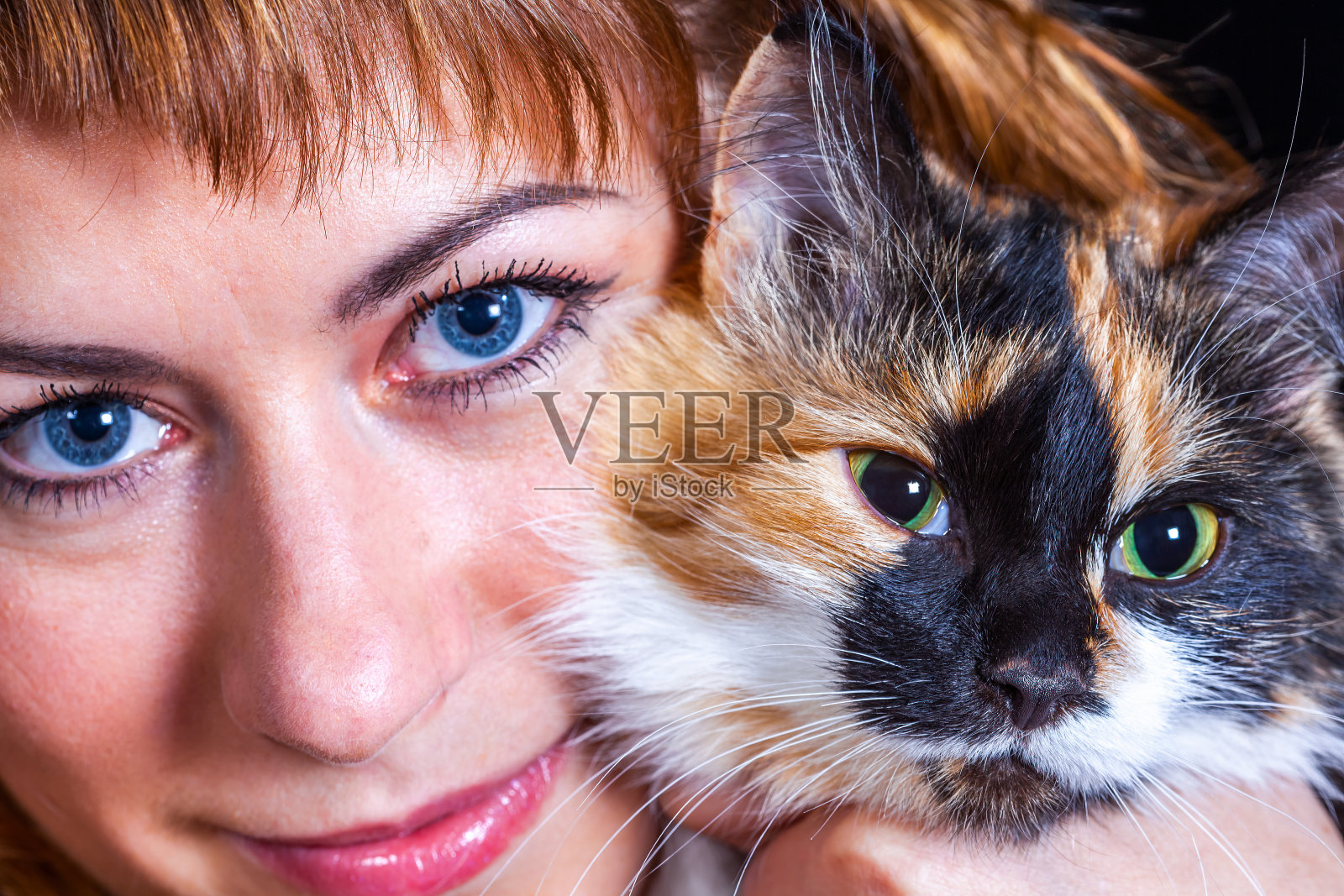 女人和猫的肖像照片摄影图片