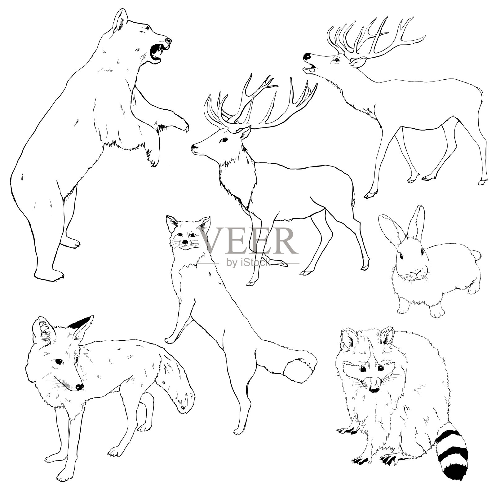 向量集的线性动物。手绘熊，鹿，狐狸，狼，兔子和浣熊孤立在白色背景。野生动物插图设计，印刷，织物或背景。插画图片素材