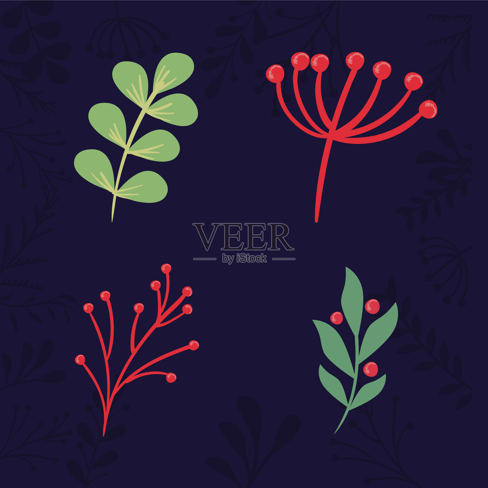 四个槲寄生树枝插画图片素材