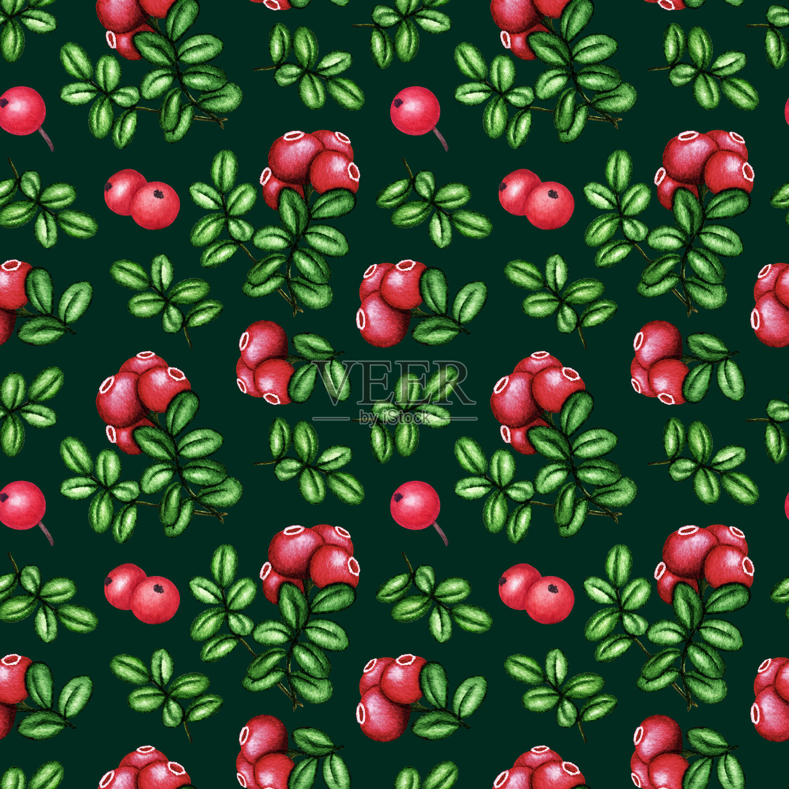 水彩越橘，越橘无缝图案。森林浆果，树枝，束和绿叶。手绘植物背景复古花卉时尚印花插画图片素材