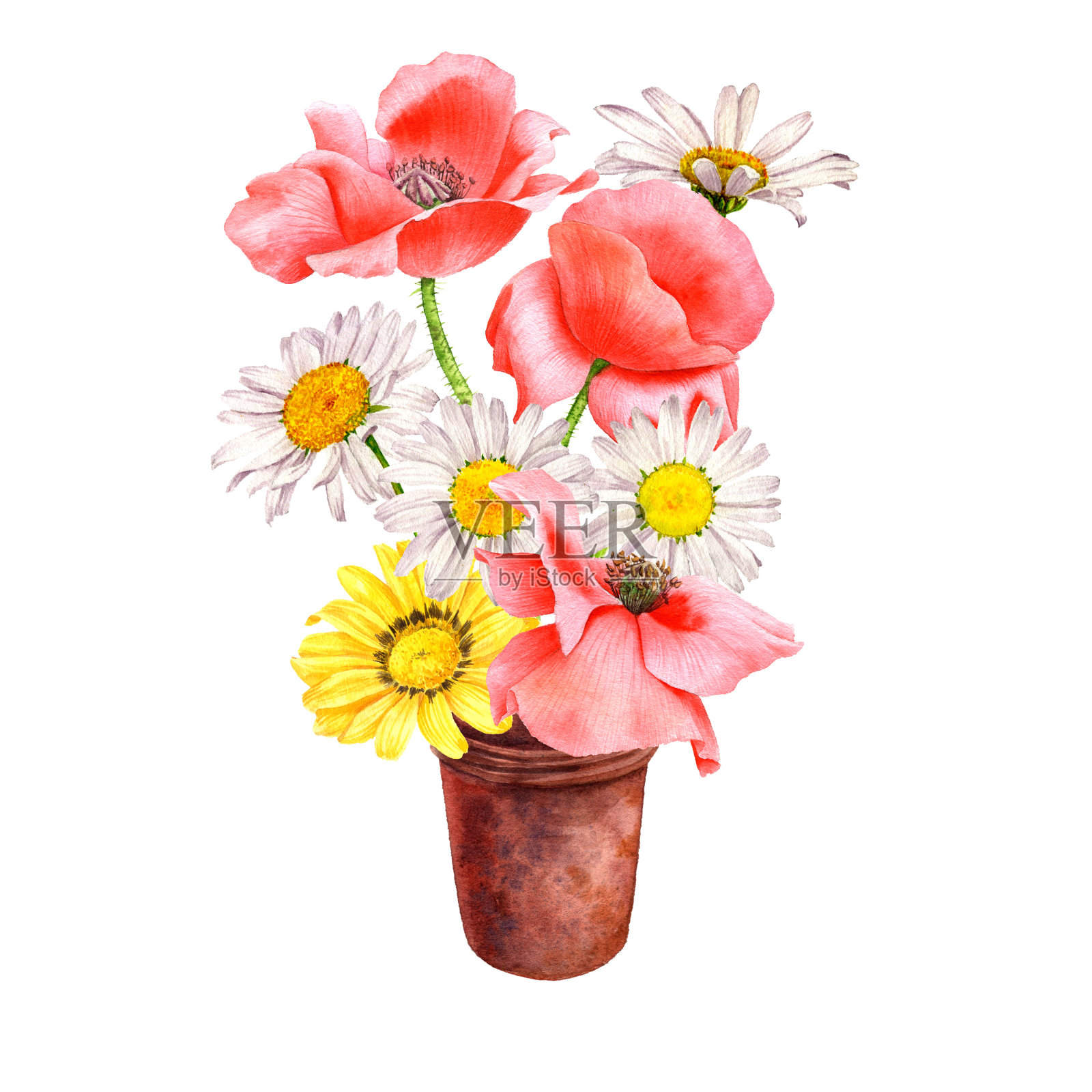 水彩绘画的花插画图片素材