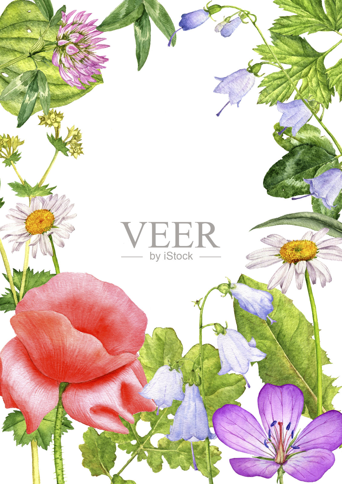 水彩画野花插画图片素材