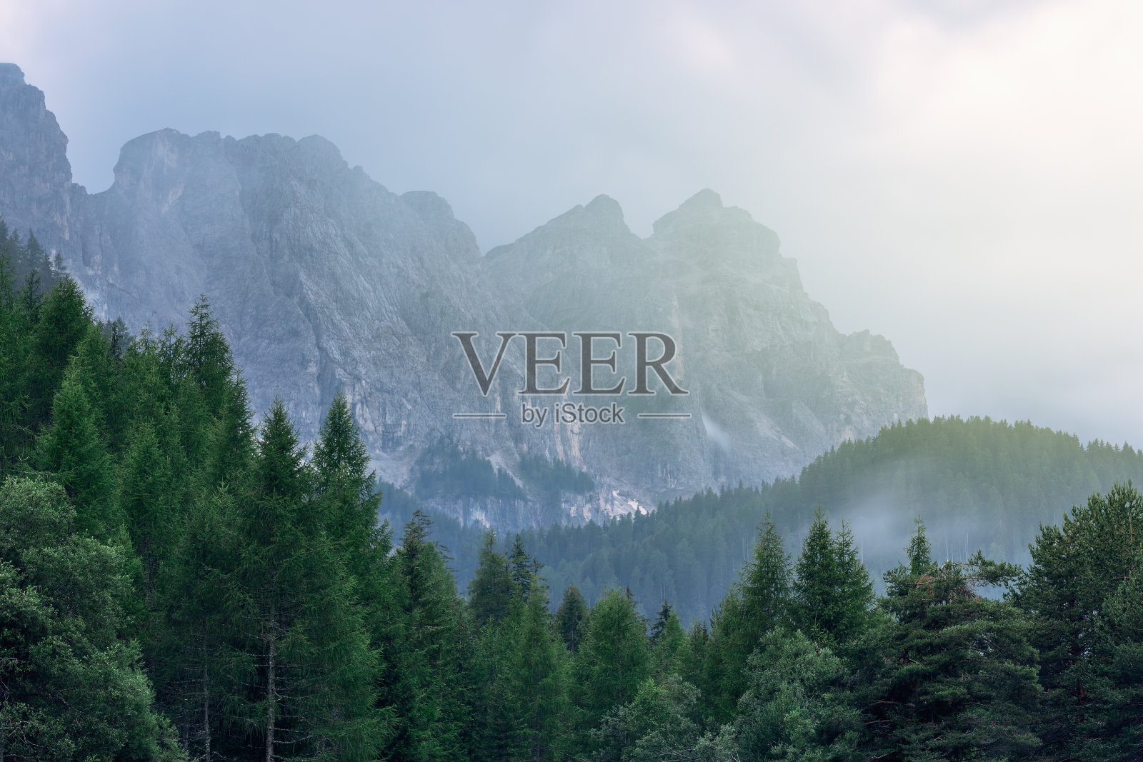 阳光透过雾照亮了意大利白云石和针叶林照片摄影图片