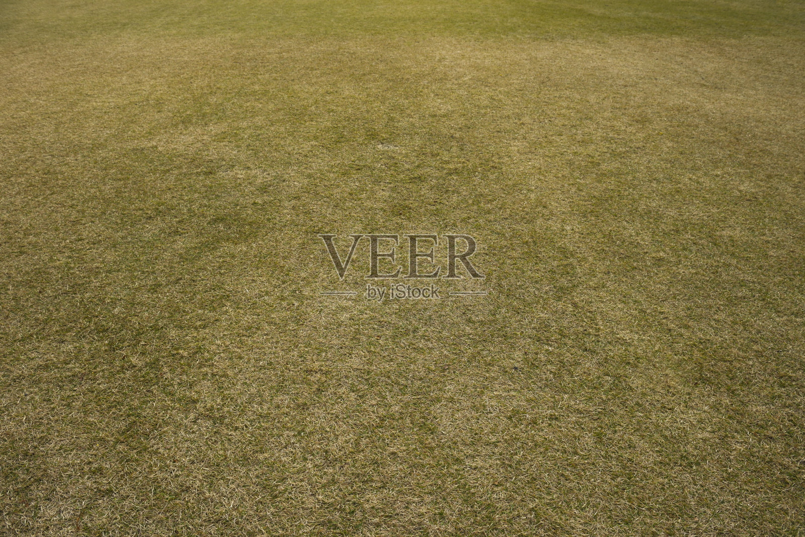 棕色草纹理背景的高角度视图照片摄影图片