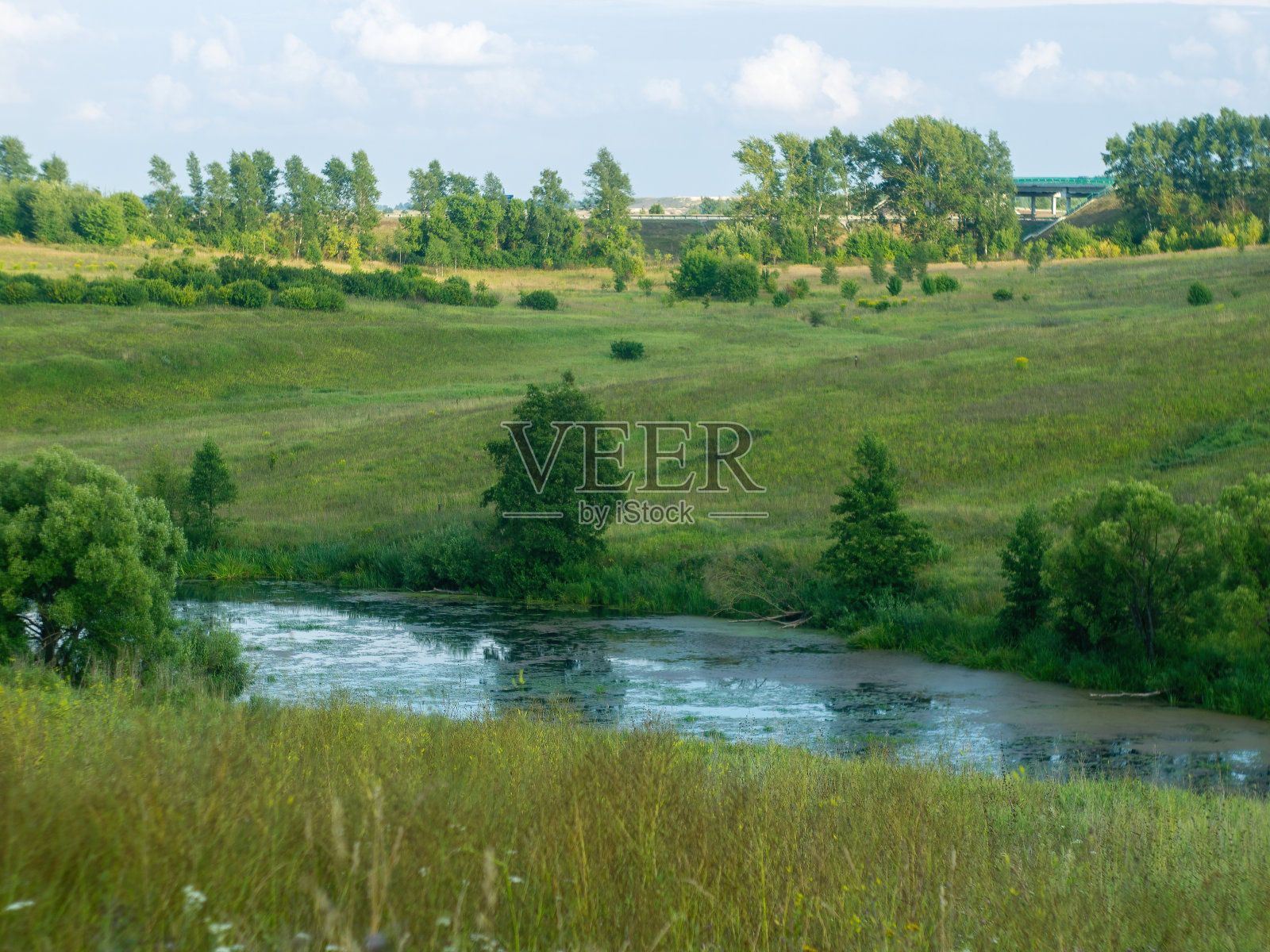 一条小河边长满树木照片摄影图片