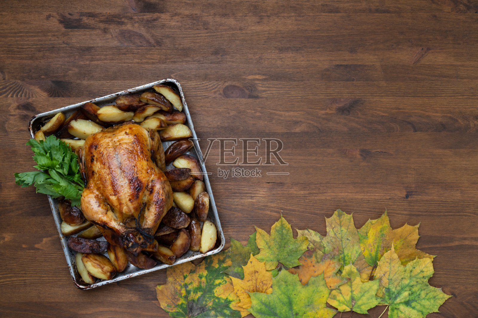 感恩节烤鸡和南瓜。照片摄影图片