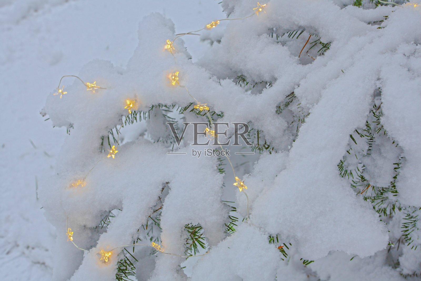 圣诞彩灯和雪花在冬季公园装饰的枞树上照片摄影图片