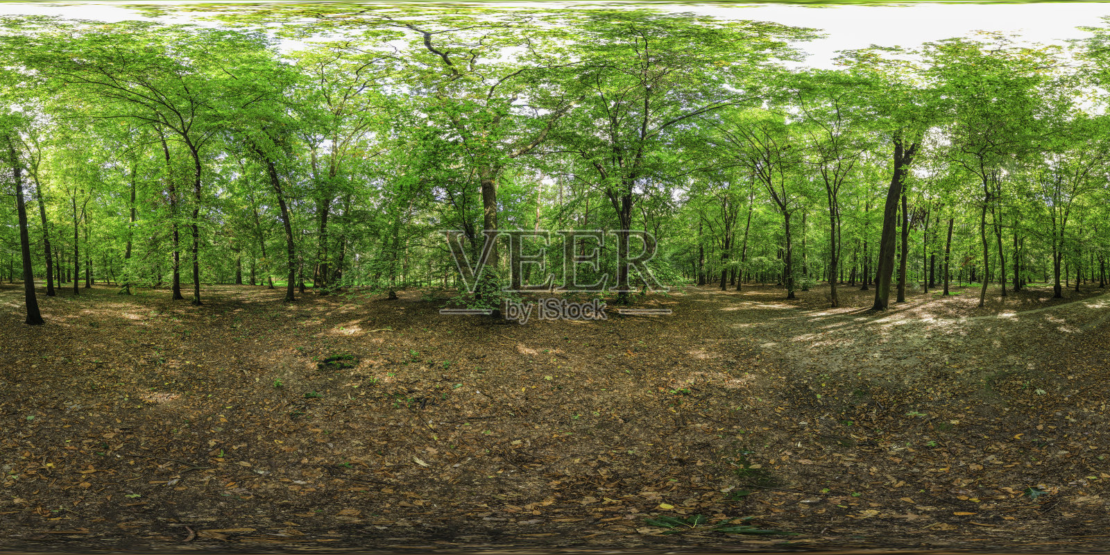 夏末午后的公园(360度HDRi全景)照片摄影图片