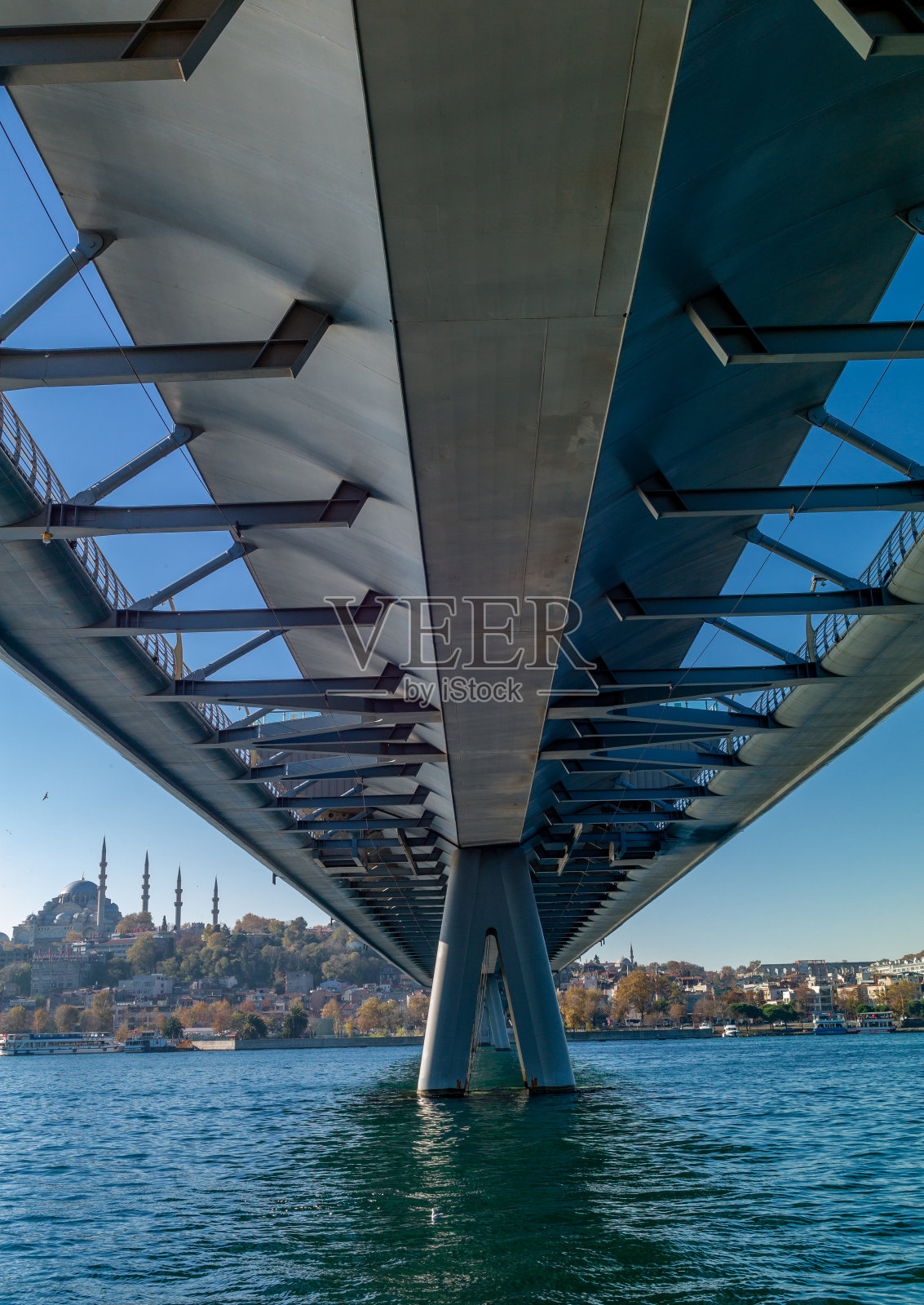 盐土植物桥照片摄影图片