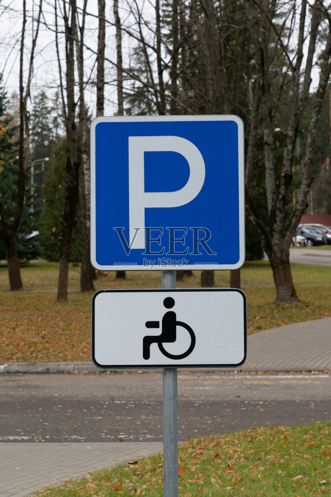 城市方形蓝色停车路标与残疾人停车路标的垂直照片照片摄影图片