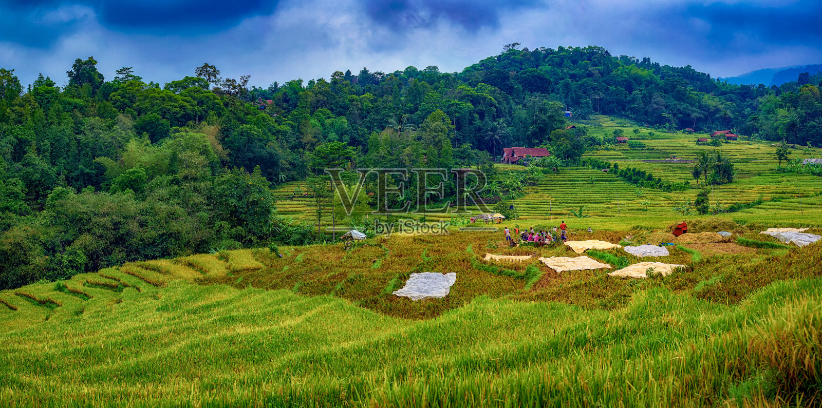 西爪哇岛和西爪哇岛景观照片摄影图片
