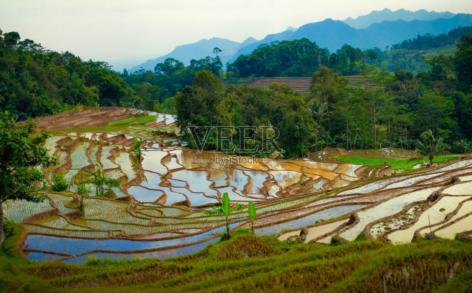 西爪哇的西雷迈山与自然照片摄影图片