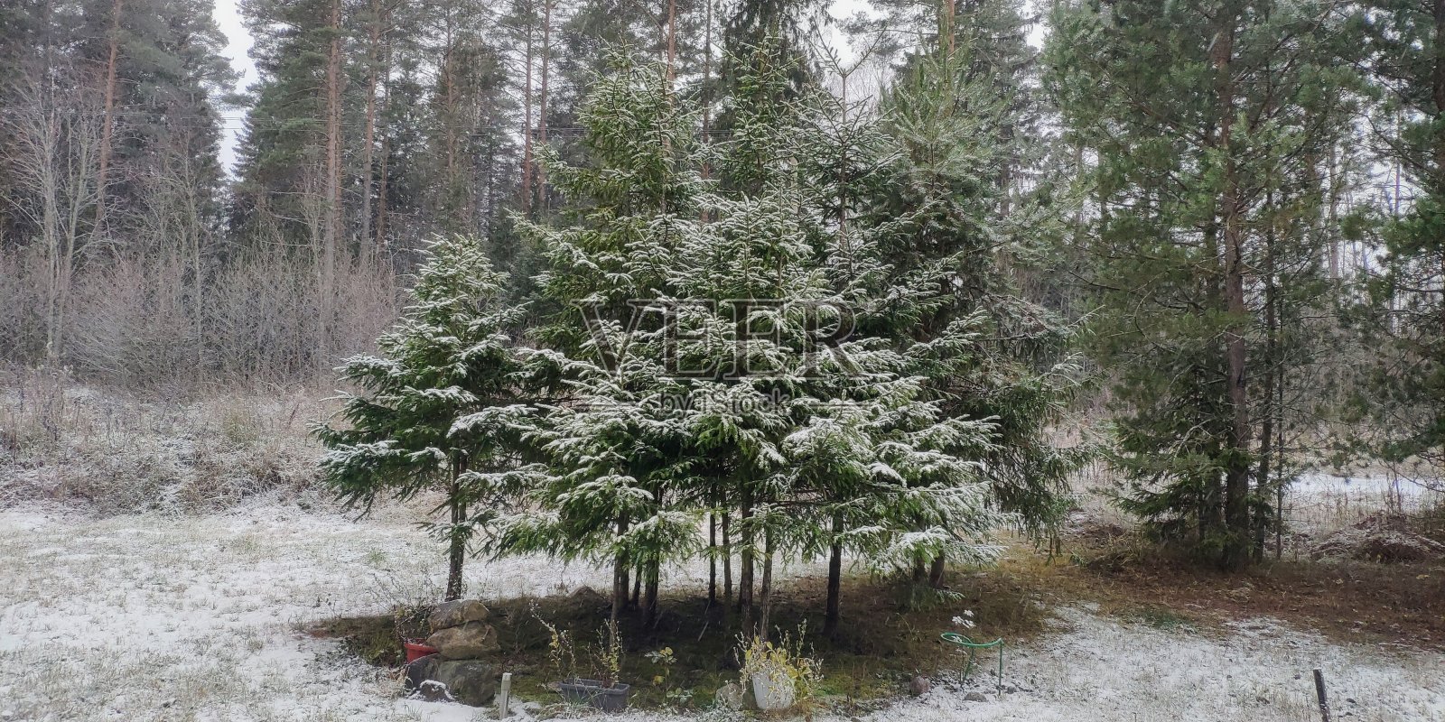 自然照片摄影图片