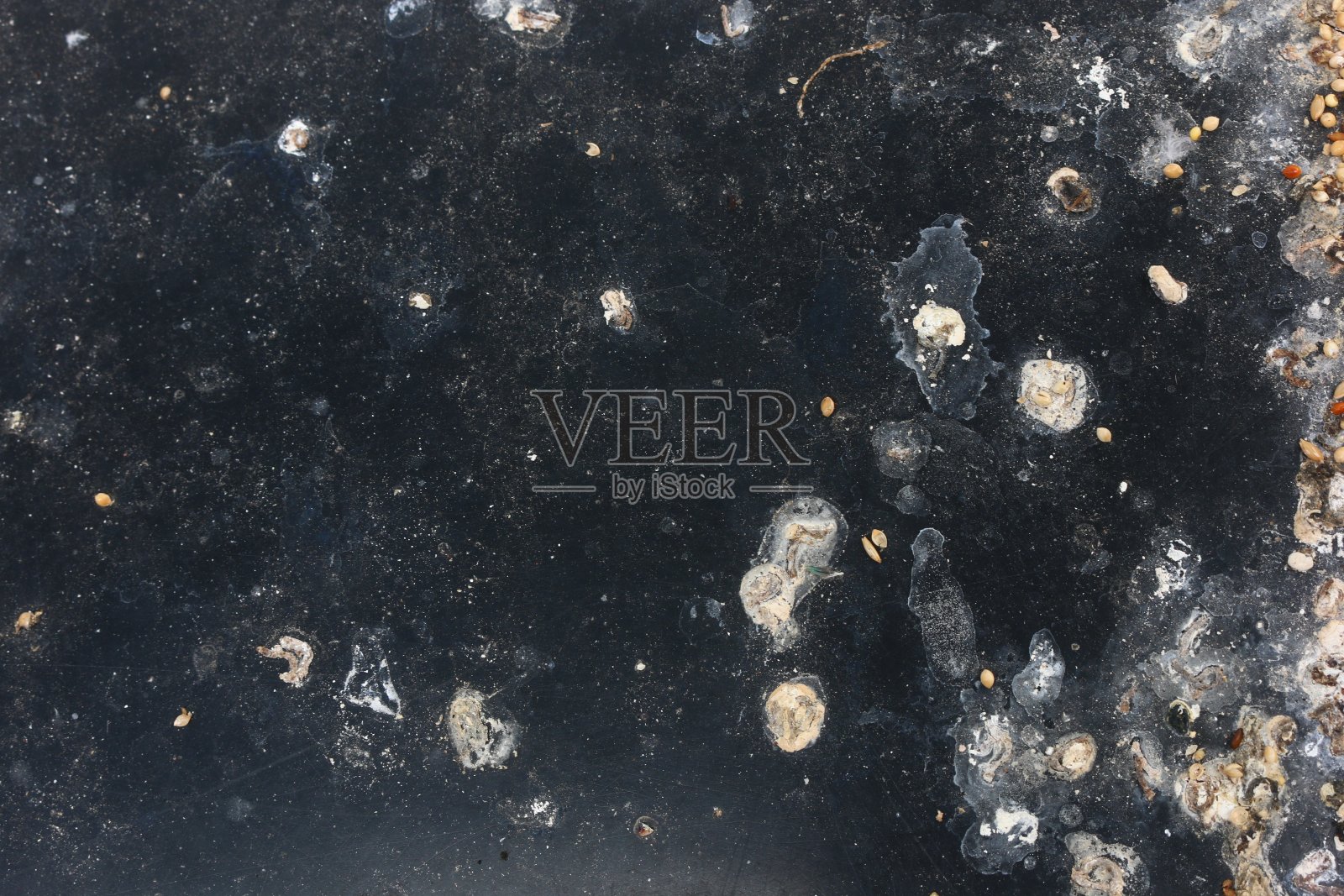 黑鸟笼底部的鸟粪照片摄影图片