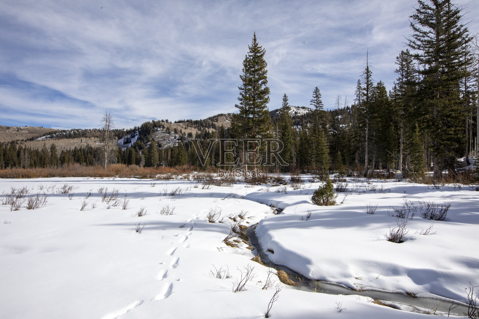 银湖照片摄影图片