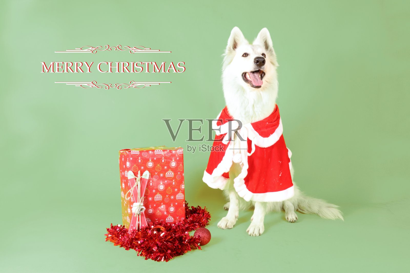 圣诞快乐卡照片摄影图片