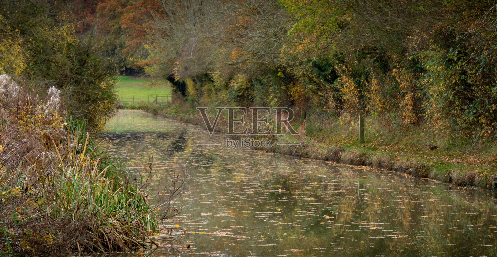 秋天运河大道照片摄影图片