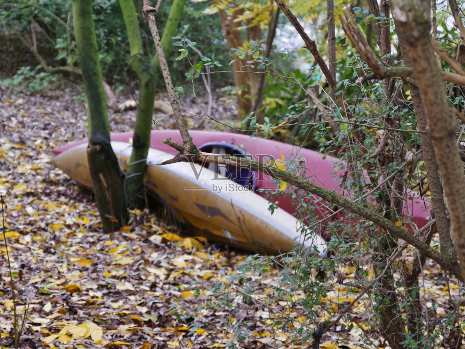 把划艇放在树之间照片摄影图片