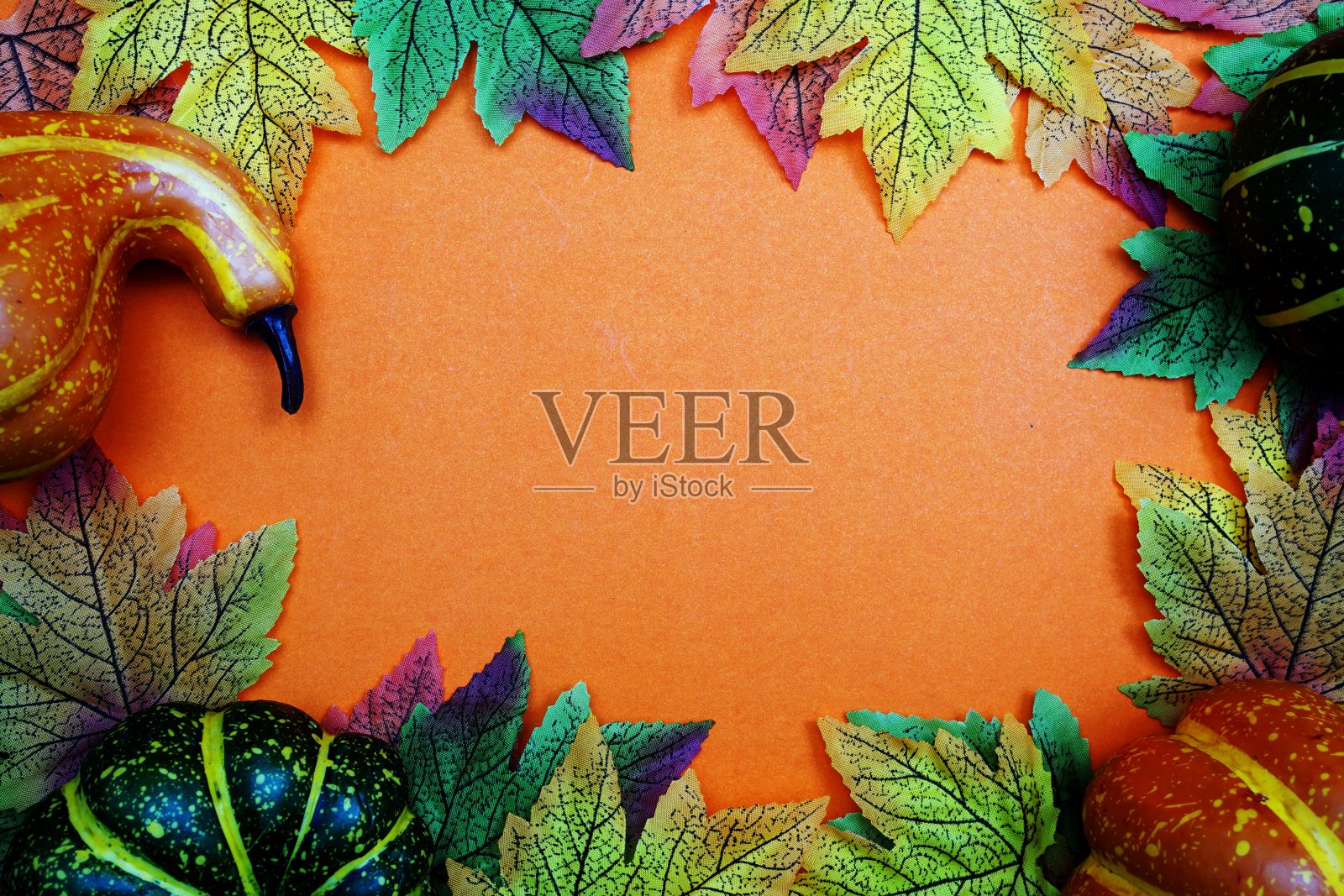 用南瓜和枫叶在橙色的背景上为复制腾出空间照片摄影图片