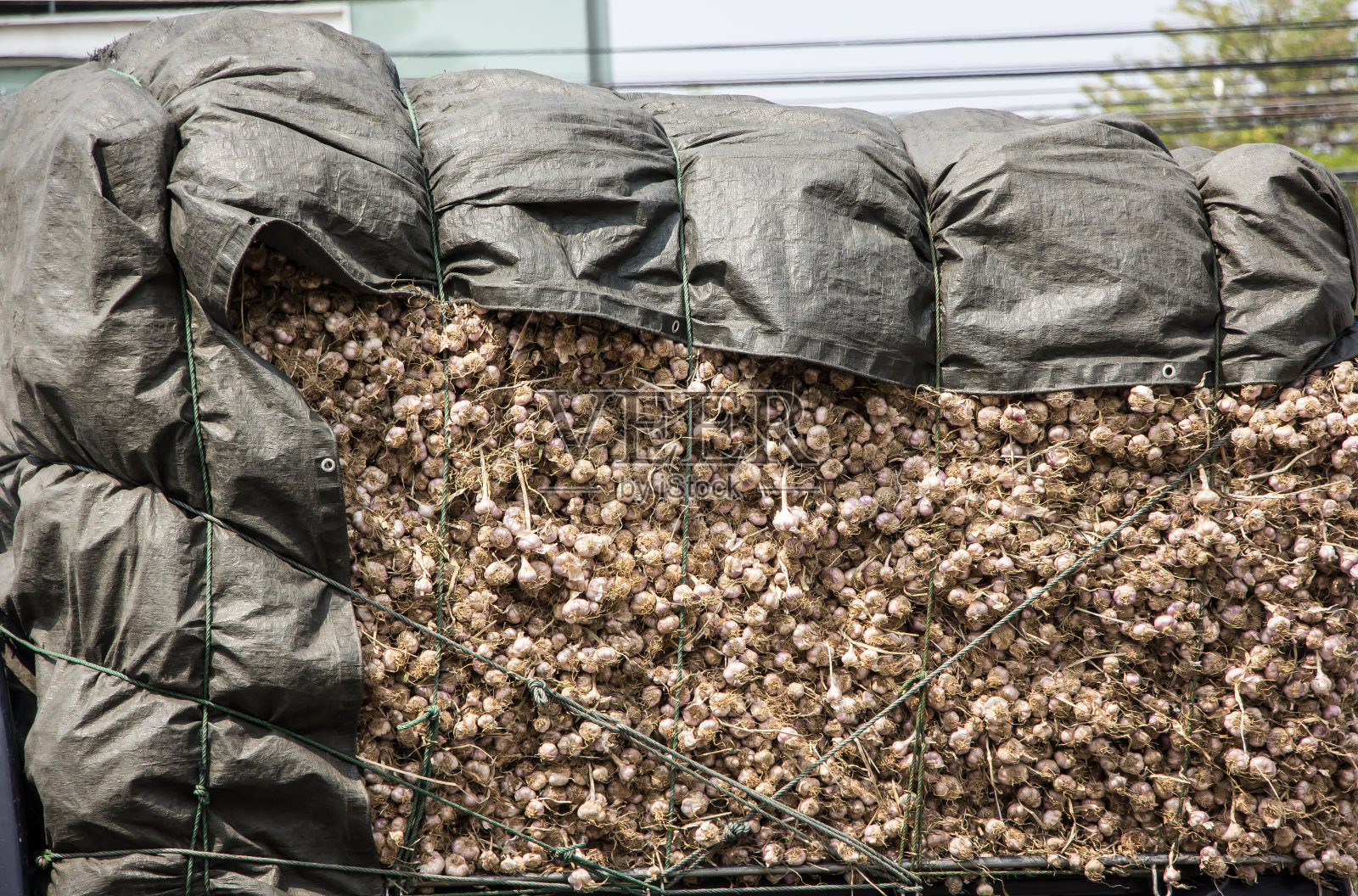 小卡车上的大蒜照片摄影图片