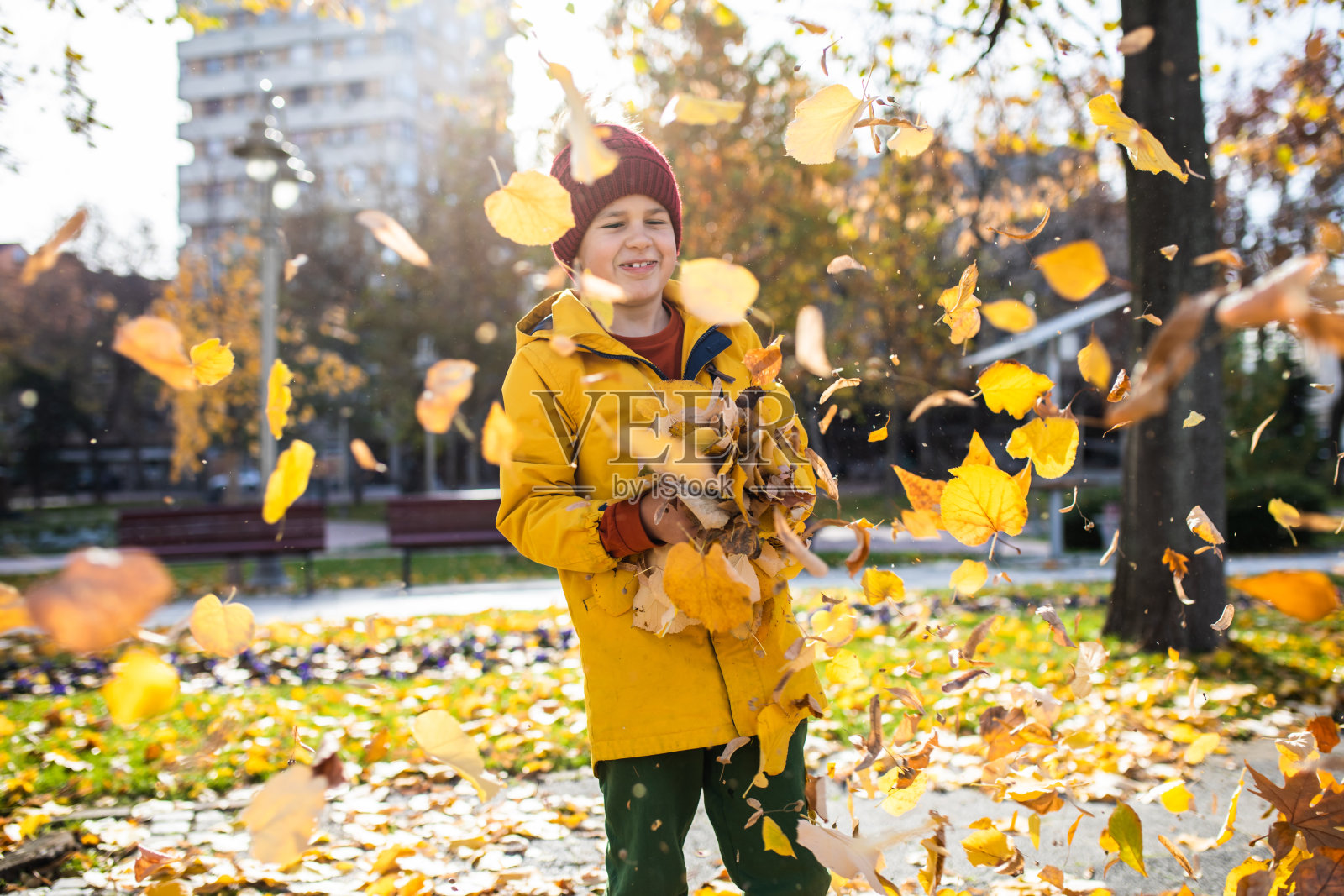 秋叶攻击照片摄影图片