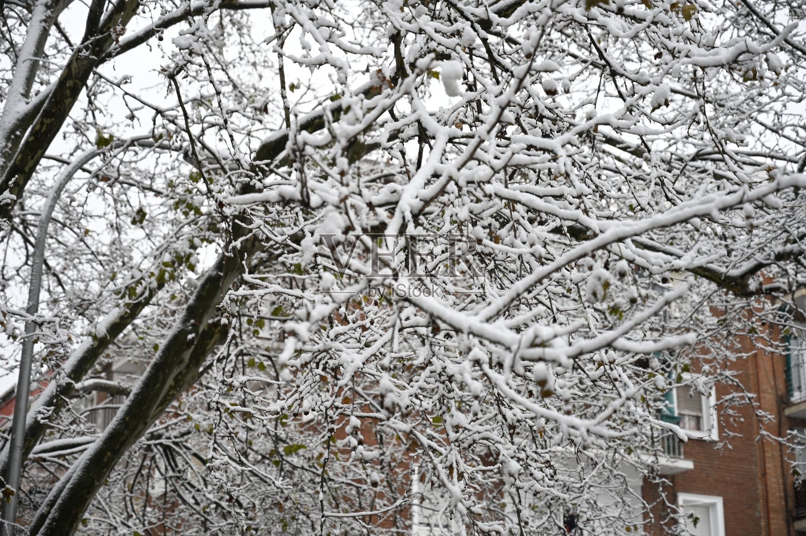 冬天和雪在马德里的街道照片摄影图片