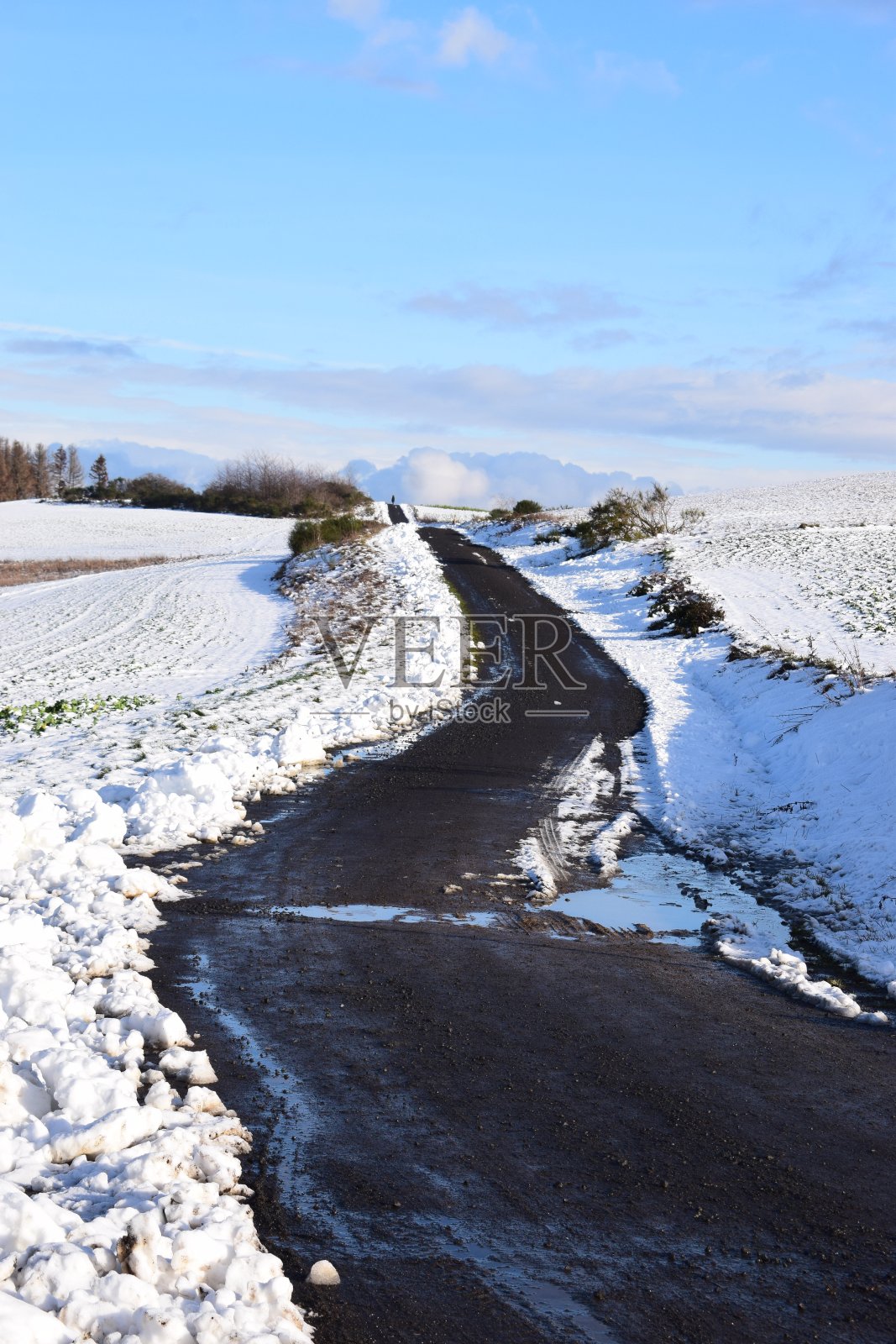 雪墙之间潮湿的道路照片摄影图片