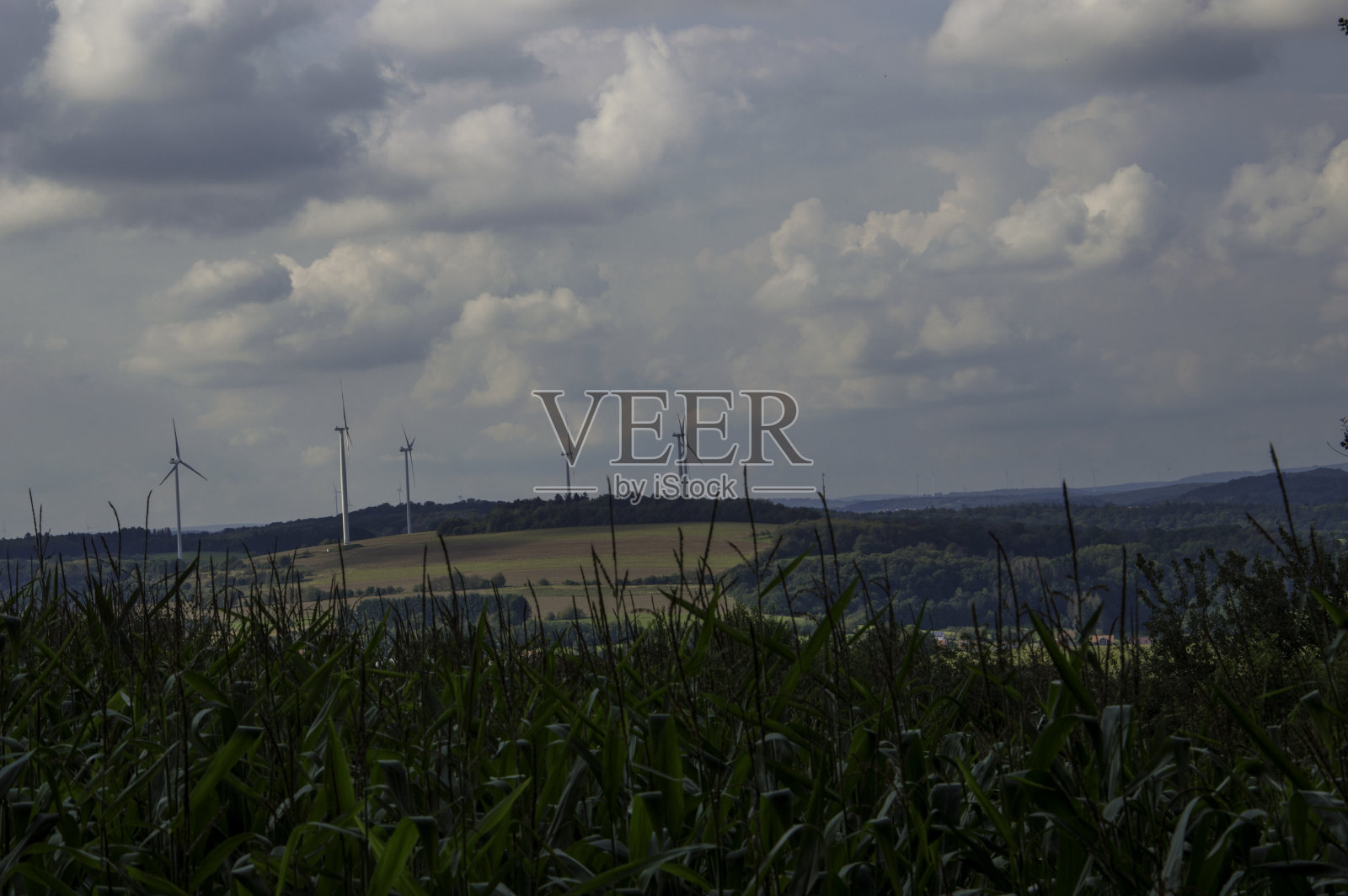 秋天在自然界中照片摄影图片