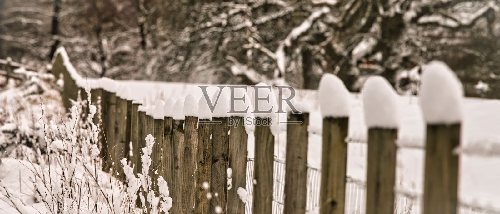 2021年风景照片照片摄影图片