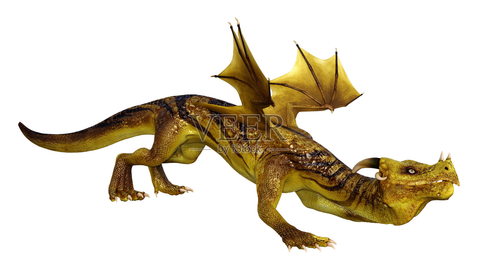 3D插图幻想龙在白色照片摄影图片