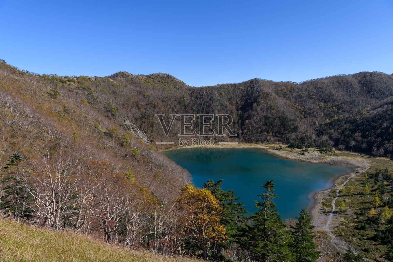 Goshikinuma池塘的秋天照片摄影图片